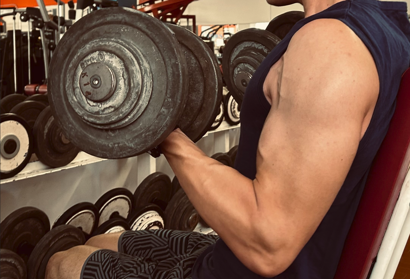 Macchinari per il body building nella palestra ASD Athena